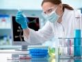 Scientist working at the laboratory